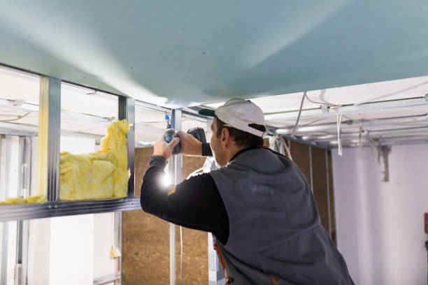 Professional Insulation Contractor in Belle, WV