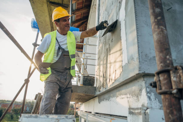 Best Insulation Contractor Near Me  in Belle, WV