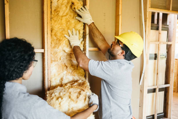 Best Spray Foam Insulation  in Belle, WV