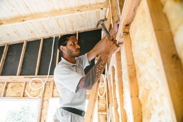 Best Blown-in Insulation  in Belle, WV