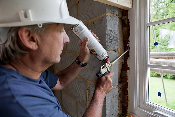 Best Cellulose Insulation  in Belle, WV