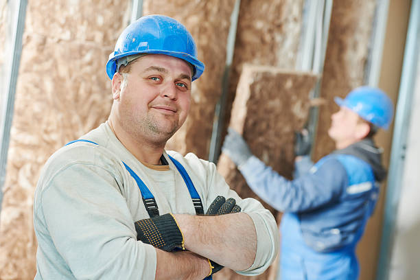 Best Insulation Contractor Near Me  in Belle, WV