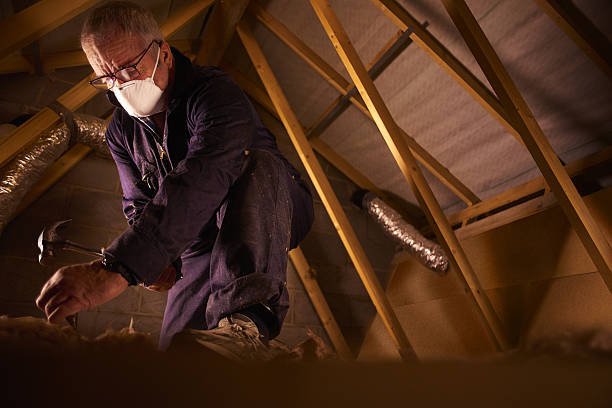 Best Garage Insulation Installation  in Belle, WV