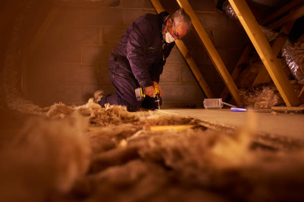 Insulation Contractors for Homes in Belle, WV